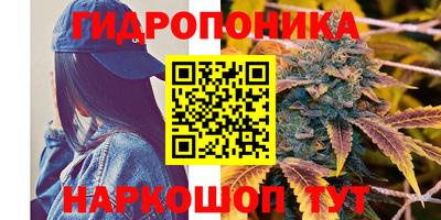 гидропоника Краснокаменск