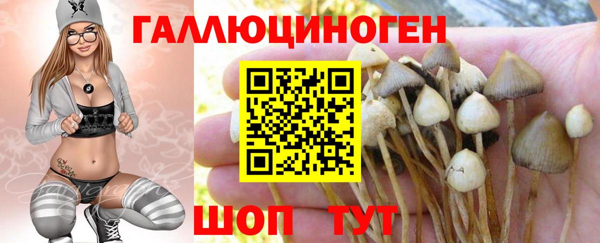 Псилоцибиновые грибы ЛСД Унеча