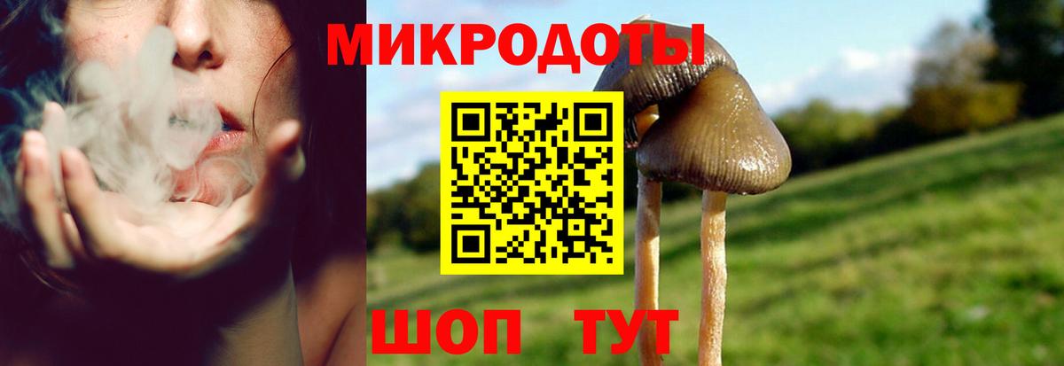 Галлюциногенные грибы Psilocybe  Вход с VPN  Унеча 
