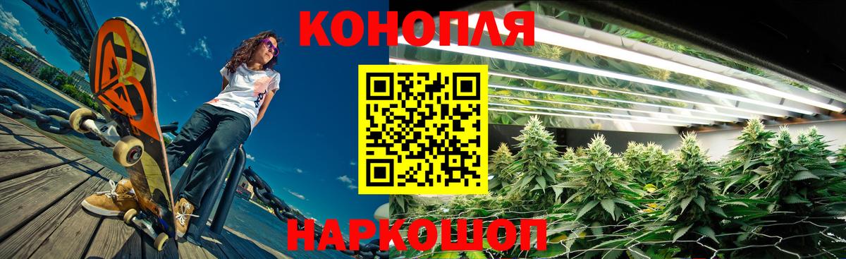 Бошки Шишки тримм  Бошки марихуана сатива  Конопля семена  Конопля SATIVA & INDICA  Унеча  Вход с VPN 